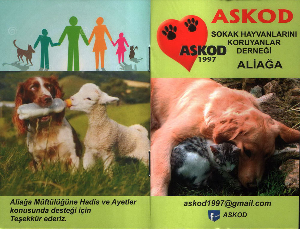 ASKOD SOKAK VE BARINAK HAYVANLARINA DİKKAT ÇEKİYOR