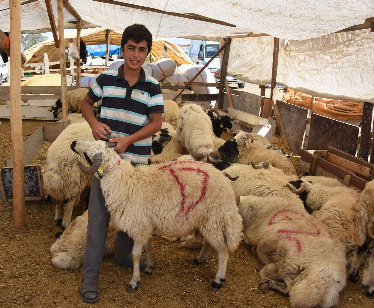 ALİAĞA BAYRAMA HAZIR