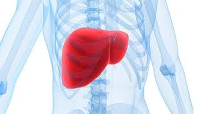 Karaciğer yağlanmasına karşı 8 etkili önlem