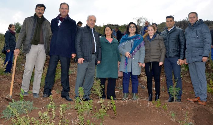 İZSU, 6 bin ağaçlık "hatıra ormanı" kuruyor