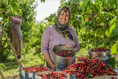 Tarıma "İzmir reçetesi"
