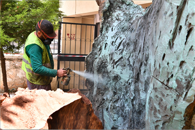 Anıt ağaçlara "gençlik aşısı"