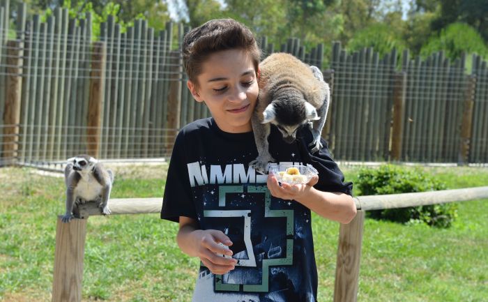 9 günde 50 bin ziyaretçi!