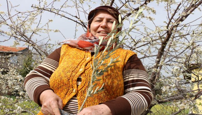 1 ayda 500 bin fidan daha