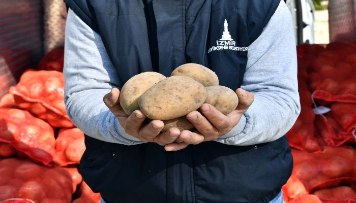 35 bin aileye dağıtılacak