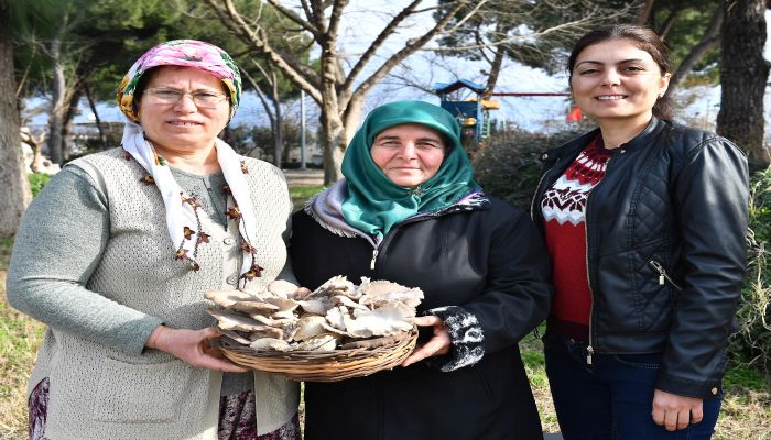 Kadınlardan istiridye mantarı