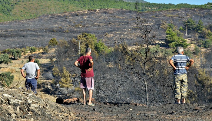 "Tüm STK'ları katkı koymaya davet ediyoruz"