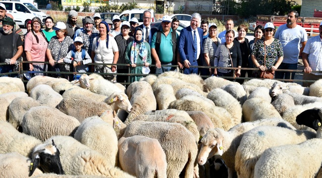 25 üreticiye 98 küçükbaş hayvan