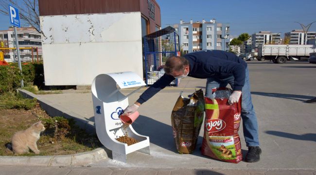 Sevimli Dostlar Yalnız Değil