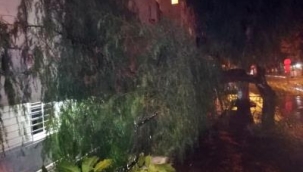 Büyükşehir'den yağış seferberliği