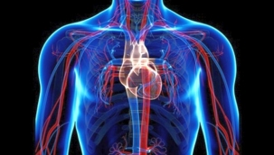 Hareketsiz yaşam akciğerlere tehdit!