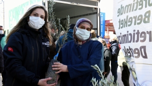 10 Günde 14 Bin 500 Adet Zeytin Fidanı Dağıtıldı