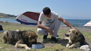 Aliağa Belediyesi Sevimli Dostlar İçin Görev Başında