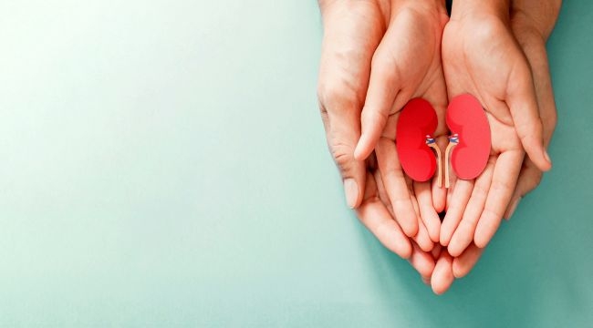  Her 6-7 Yetişkinden 1'i Böbrek Hastası!