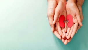  Her 6-7 Yetişkinden 1'i Böbrek Hastası!