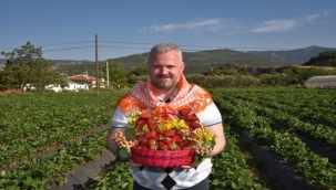 Çilek Festivali heyecanı başladı