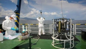 Hedef yüzülebilir Körfez