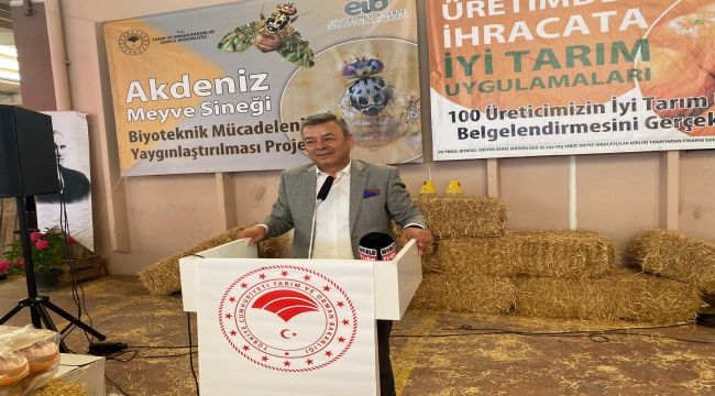 Gümüldür mandalinası meyve sineğinden kurtuluyor