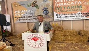 Gümüldür mandalinası meyve sineğinden kurtuluyor