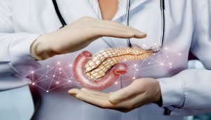 Toplumsal ve bireysel farkındalık hayat kurtarıyor!