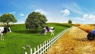 ABD'ye 250 milyon dolarlık ihracat hedefi