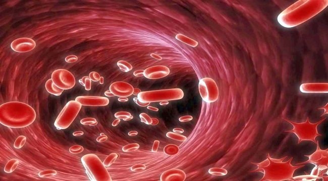 Tedavi varsa umut da vardır