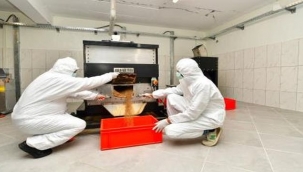 İzmir Büyükşehir Belediyesi can dostlar için mama üretimine başladı