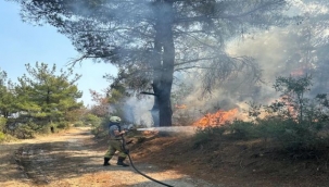 Çanakkale'deki yangına İzmir'den destek