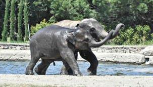 Doğal Yaşam Parkı'na pazartesi molası 