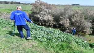 İzmir Büyükşehir Belediyesi ilaçlama çalışmalarına hız verdi