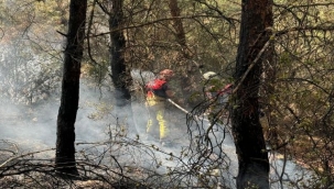 İzmir İtfaiyesi 4 ilçede yangınlara müdahale ediyor