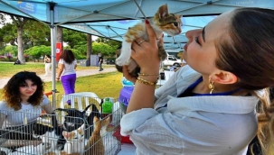 İzmir'de sahiplenilen hayvanlar ücretsiz kısırlaştırılacak