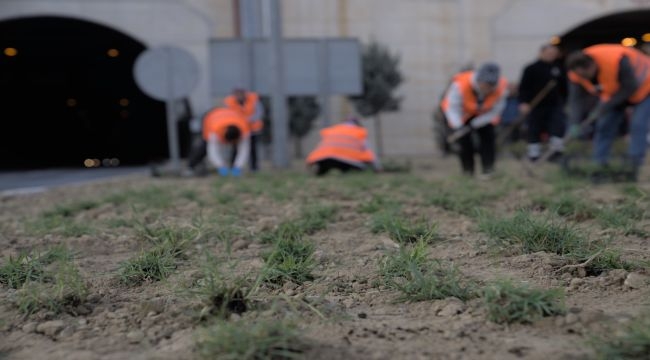 Kuraklığa karşı İzmir'in yeşil örtüsünde dönüşüm