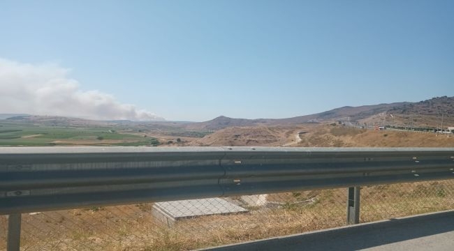 Aliağa'da orman yangını 