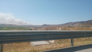 Aliağa'da orman yangını 