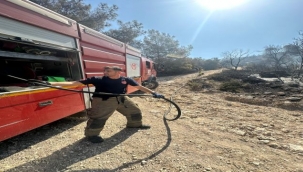 Buca ve Aliağa'da çıkan yangınlar kontrol altına alındı