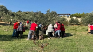 Engelli yurttaşlar ve yakınları zeytin hasadında buluştu