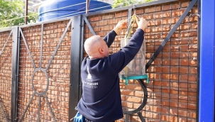 İzmir'de Karasinekle Yoğun Mücadele