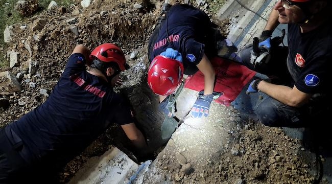 Mazgala düşen kayıp köpek ve yangında mahsur kalan kediler itfaiyenin çabasıyla kurtarıldı