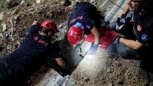 Mazgala düşen kayıp köpek ve yangında mahsur kalan kediler itfaiyenin çabasıyla kurtarıldı