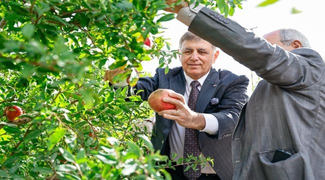 İzmir Büyükşehir Belediyesi üreticiye desteğini sürdürdü