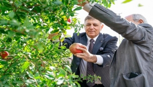 İzmir Büyükşehir Belediyesi üreticiye desteğini sürdürdü