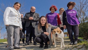 86 bin tedavi, 13 bin kısırlaştırma