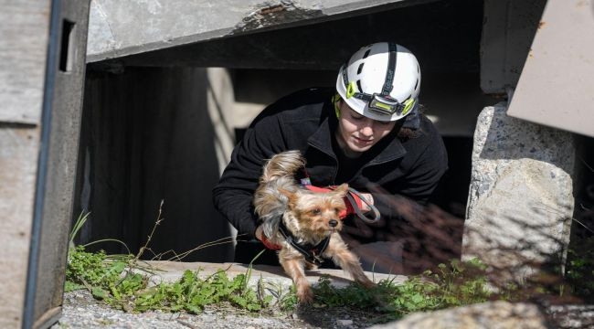 Afetzede hayvanlar için ilçelere arama kurtarma eğitimi