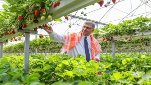 Sofrada adalet için İzmir hamlesi