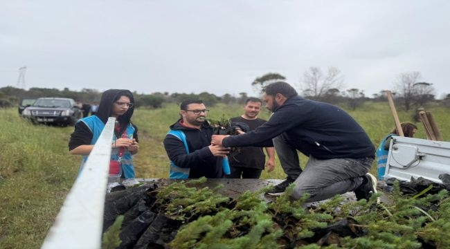 Aliağa'da yangınların yarası bin fıstık çamıyla sarıldı